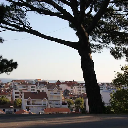 Le Charme Des Dunes Lejlighed